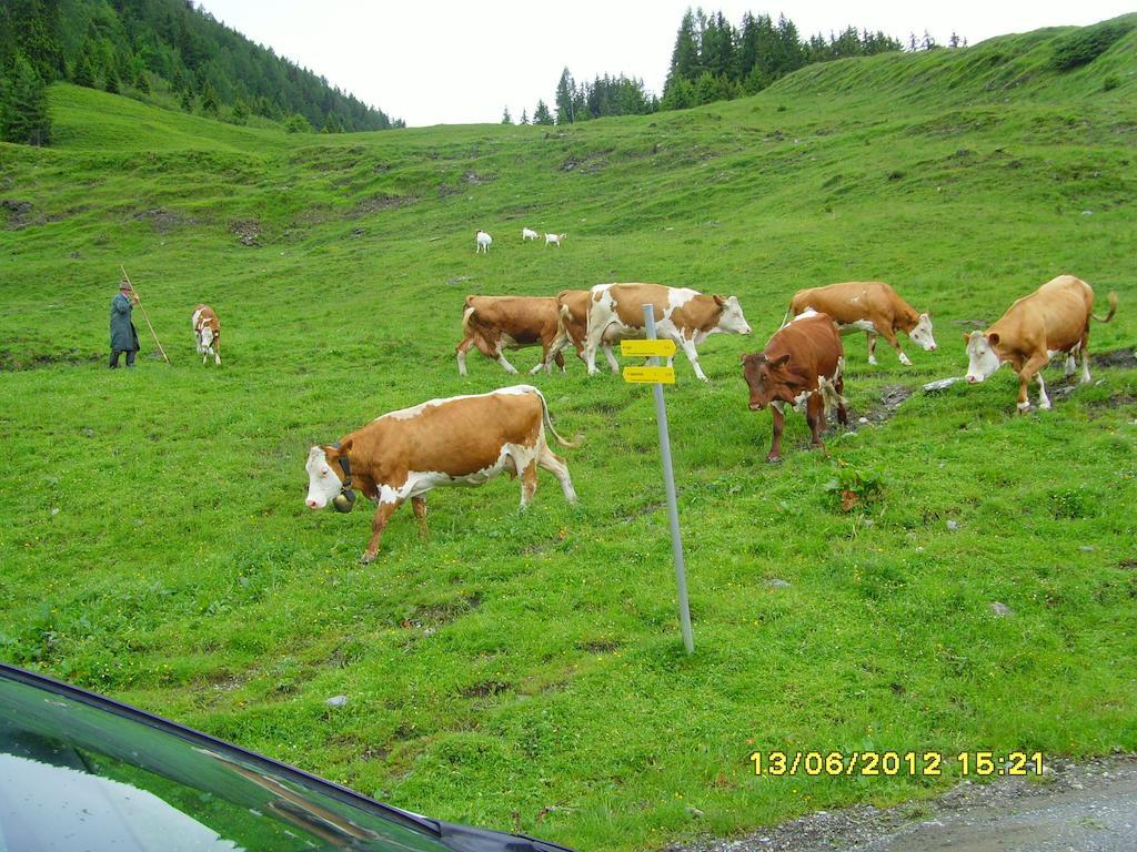 מלון Fusch an der Grossglocknerstrasse Feriendorf Ponyhof מראה חיצוני תמונה