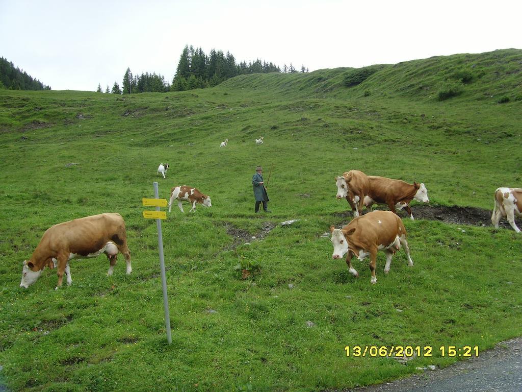 מלון Fusch an der Grossglocknerstrasse Feriendorf Ponyhof מראה חיצוני תמונה